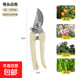 不锈钢树枝修枝剪采摘水果花木剪园林果树花卉枝嫁接园艺剪刀工具 修枝剪【树枝/花枝/果枝/盆栽】
