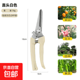 不锈钢树枝修枝剪采摘水果花木剪园林果树花卉枝嫁接园艺剪刀工具 摘果剪直头【久摘果不累手】