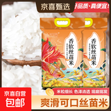 当季新米软香丝苗米晚稻籼米长粒香大米猫牙米煲仔饭米晚稻米 丝苗米10KG