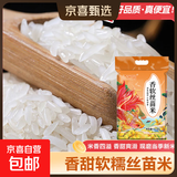当季新米软香丝苗米晚稻籼米长粒香大米猫牙米煲仔饭米晚稻米 丝苗米2.5KG