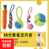 狗狗玩具套装耐咬磨牙棒幼犬用品玩互动泰迪狗柯基洁齿中小型训练 幼犬最爱五件套-随机颜色