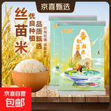 当季新米软香丝苗米晚稻籼米长粒香大米猫牙米煲仔饭米晚稻米 丝苗米1KG