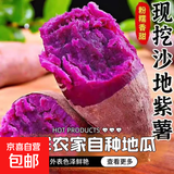 新鲜现挖紫罗兰紫薯蜜薯番薯烤红薯地瓜红苕芋头山芋整箱批发包邮 紫罗兰紫薯5斤中大果 含箱