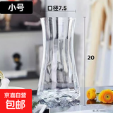 特大号轻奢创意简约玻璃花瓶透明水养鲜花北欧ins风客厅插花摆件 【20高】透明太阳花