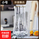 特大号轻奢创意简约玻璃花瓶透明水养鲜花北欧ins风客厅插花摆件 【20高描金】透明太阳花