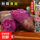 新鲜现挖紫罗兰紫薯蜜薯番薯烤红薯地瓜红苕芋头山芋整箱批发包邮 紫罗兰紫薯3斤中果