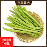 云南高山新鲜四季豆圆青豆农家蔬菜新鲜现摘蔬菜生鲜 带箱2斤