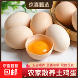京喜加土鸡蛋 新鲜鸡蛋山林自养 生鲜溏心蛋 卤蛋早餐京东买菜40g正负5g 20枚装总重800g+