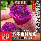 新鲜现挖紫罗兰紫薯蜜薯番薯烤红薯地瓜红苕芋头山芋整箱批发包邮 紫罗兰紫薯5斤中大果 含箱