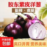 【东东买菜】紫皮洋葱新鲜蔬菜红皮洋葱现挖圆葱头大果紫洋葱 紫皮水果洋葱10斤装【精品中果】