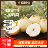 【已售50万斤】河北水晶鸭梨赵州鸭梨产地直发单果160g起 带箱2.5斤装（净重2.1-2.2斤）