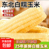 东东买菜玉米东北白糯玉米正宗玉米粗粮鲜食新鲜糯玉米大棒真空装 新品种甜加糯 白糯玉米250g*8支