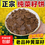菜籽饼肥料油枯发酵有机肥种菜老式新鲜榨油大块油饼钓鱼打窝菜饼 黄金菜籽饼【20斤】（纯菜籽）