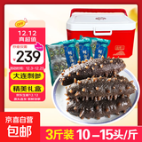 即食海参独立包装新鲜海鲜礼盒鲜食大连海参刺身冷冻辽参优质刺参 精美礼盒3斤（30-45头）