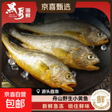 舟山海捕小黄鱼野生细麟小黄鱼新鲜速冻生鲜鱼类火锅食材 2000g（约15-18条/斤）