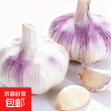 【东东买菜】大蒜头紫白皮精品大蒜特价批发商用调味料蒜瓣蔬菜 大蒜5-6头200g