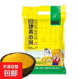 精选黄小米5斤 油小米新米月子米脂软糯油小米宝宝粥米 天山黄小米10斤
