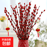 银柳真花鲜枝干花摆件室内水培绿植物新年节日招财年宵花卉盆栽 精选红色银柳45CM高【30支】+2个小灯笼