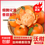 沃柑头茬薄皮桔子当季新鲜水果橘子10斤整箱批发酸甜爆汁皮薄肉厚 小果（单果55-65mm） 1斤带箱