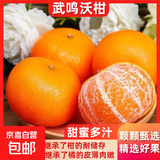 正宗广西武鸣沃柑应季新鲜水果桔子非砂糖橘丑橘子贵妃柑整箱包甜 大果（单果65-70mm） 1斤带箱