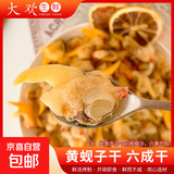 丹东特产黄蚬子干追剧小零食海鲜干货原味香辣蚬子干五成干净重 原味蚬子干 250g