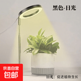 植物补光灯全光谱LED植物生长灯防太阳多肉补光灯种植6W定时调光 黑色-太阳光（植物生长）+底座 可调节-高68CM