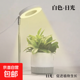 植物补光灯全光谱LED植物生长灯防太阳多肉补光灯种植6W定时调光 白色-太阳光（植物生长）+底座 可调节-高68CM