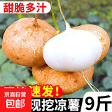 【东东买菜】新鲜现挖凉薯生吃脆甜水果红薯白地瓜直播间生鲜超市 现挖凉薯 4斤中大果含箱