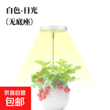 植物补光灯全光谱LED植物生长灯防太阳多肉补光灯种植6W定时调光 白色-太阳光（植物生长）-无底座 可调节-高68CM