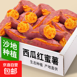 【东东买菜】新鲜西瓜红蜜薯红心地瓜红薯软糯香甜煮粥必备 新鲜西瓜红蜜薯5斤含箱 中大果（3两起）