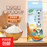 绿宝贡当季新米南方农家象牙猫牙米优质丝苗晚稻 象牙香米500g