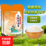 当季新米软香丝苗米晚稻籼米长粒香大米猫牙米煲仔饭丝苗米 长粒丝苗米5KG