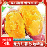 现挖沙地蜜薯空气炸锅红薯沙地板栗薯新鲜自种龙九正宗黄心香甜 沙地蜜薯 2斤 带箱 中小果
