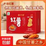 现挖烟薯糖心红薯新鲜空气炸锅烤地瓜农家沙地红心蜜薯 卢龙精选烟薯礼盒5斤 净重 中大果（单果150g-500g）