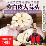 紫白皮蒜水果大蒜超市即食生鲜蔬菜大蒜 【实惠】5斤带箱 净重4.55斤单果3.5-5cm