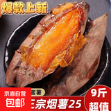 现挖烟薯糖心红薯新鲜空气炸锅烤地瓜农家沙地红心蜜薯 正宗烟薯25号 2斤 带箱 中大果（单果150g-500g）