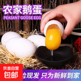 【不等库存 只发鲜货】山林散养土鹅蛋 现捡现发 孕妇土鹅蛋 110-130克中号蛋 12枚