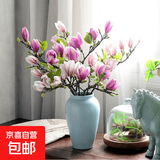 【玉兰】水培切枝花卉带花苞遇水开花室内植物好养绿植净化空气 混色玉兰鲜枝60-80厘米15枝(带花苞)花量大