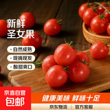 新鲜圣女果小西红柿小番茄新鲜蔬菜生鲜减肥减脂早餐沙拉现摘现发 畅销装 2斤 带箱