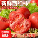 新鲜沙瓤大番茄生吃西红柿减肥早餐即食新鲜蔬菜生鲜单果＞100g 囤货装 5斤 净重