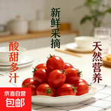 新鲜圣女果小西红柿小番茄新鲜蔬菜生鲜减肥减脂早餐沙拉现摘现发 畅享装 3斤 带箱