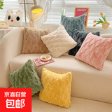 轻奢简约加厚法兰绒丝绒抱枕靠枕套现代客厅沙发靠垫床头靠背ins 毛绒抱枕套【款式颜色随机】不含芯 45cm*45cm 枕套 1个装