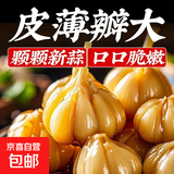 糖醋蒜农家腌制酸甜泡蒜甜蒜头腌制糖蒜火锅开胃蒜下饭神器 500克×1袋（冲销量）