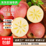 山西高山红富士苹果果园直发丑苹果皮薄多汁当季新果 带箱5斤净重4.5斤【高山80特大果】