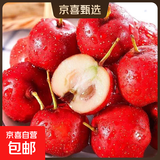 甜红子山楂樱桃小山楂鲜果山里红糖葫芦糖雪球新鲜孕妇水果现摘 【净重250g尝鲜】中大果 单果6g+