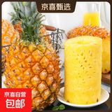 广东徐闻香水菠萝新鲜水果生鲜热带孕妇水果整箱包邮 【限时低价】1个装  单果650g起