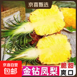 正宗海南金钻凤梨新鲜水果当季树上熟芒果凤梨【催熟食用】 净重7.5斤中果（5-6个）单果1.3-1.7斤