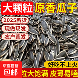 内蒙新货葵花籽大颗粒原味五香炒熟生瓜子5斤批发零食葵花子新鲜 【1.5斤】原味葵花籽750g