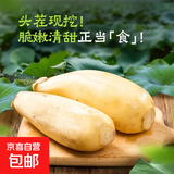 新鲜莲藕脆嫩多汁现发当季鲜藕下酒菜清甜凉拌 精品莲藕-5斤