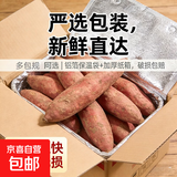 正宗精品烟薯25糖化蜜薯烤薯糖心流油地瓜直播间超市品质坏果包赔 3斤中小果含箱 （1两-3两）